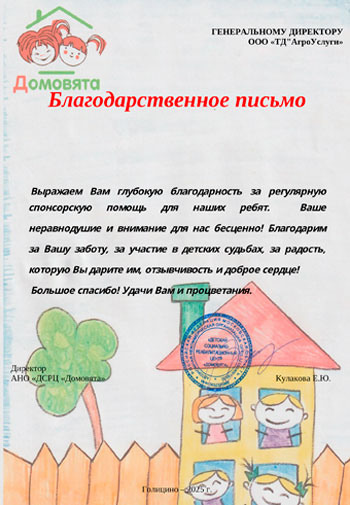 Благодарственное письмо Команда АНО «ДСРЦ «Домовята»