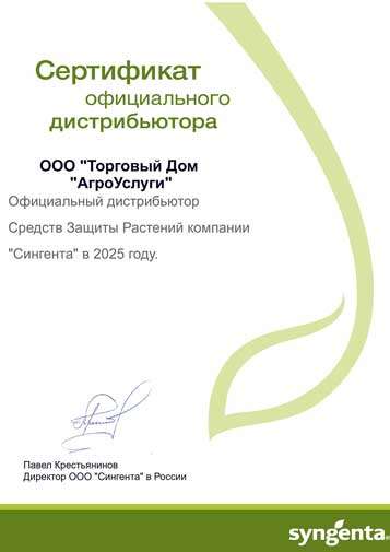 Сингента
